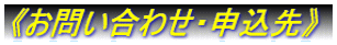 s₢킹E\t